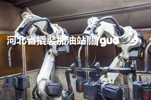 河北省撬裝加油站關(guān)鍵技術(shù)突破！化工廠拆除工程的新方法探索？